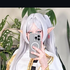 Emfox Png 6 0002