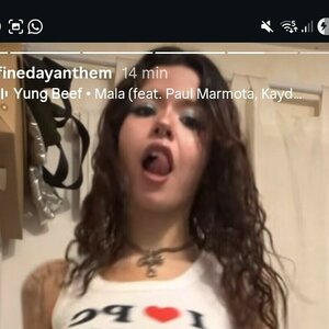 Finedayanthem 0004