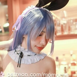 Momocat 0w0 0008