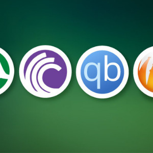 Porn Torrent Sites